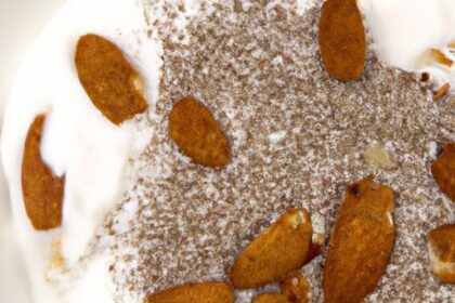 Power-Packed Greek Yogurt with Chia Seeds & Nuts Delight