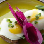 Eggs Uncovered: Nature’s Tiny Protein Powerhouses Explained