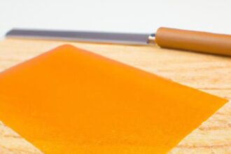 Sweet & Chewy: Mastering Fruit Leather with Your Dehydrator